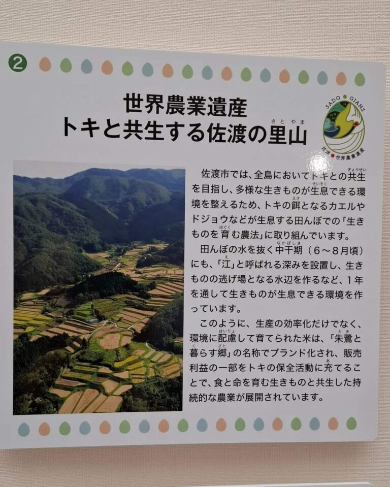 《佐渡視察》トキと暮らす島 生物多様性佐渡戦略に学ぶ