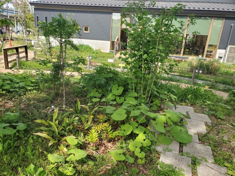 第三回葛飾区議会定例会がはじまります