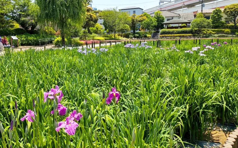 令和8年 第2回 葛飾区議会定例会が始まります！